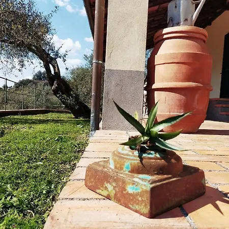 בית חווה Il Monticello סרזאנה